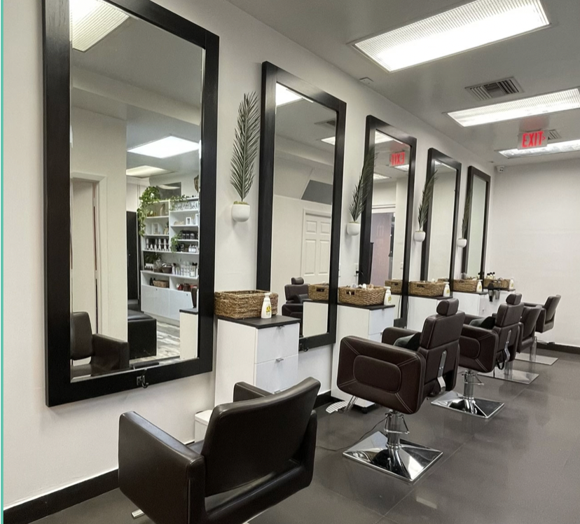 Salon Chairs with Mirrors